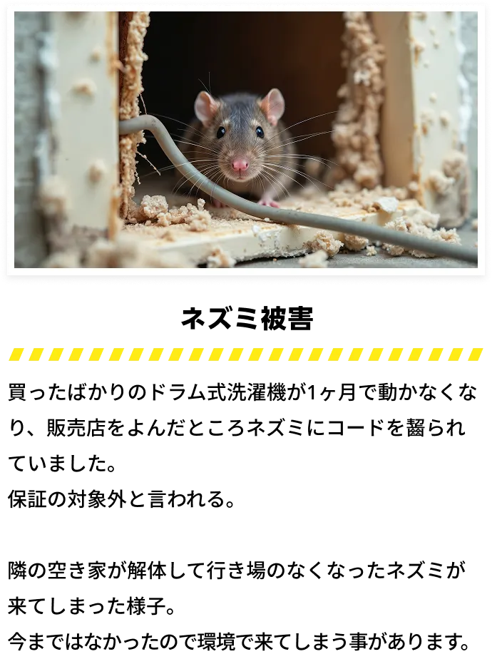 被害例の画像