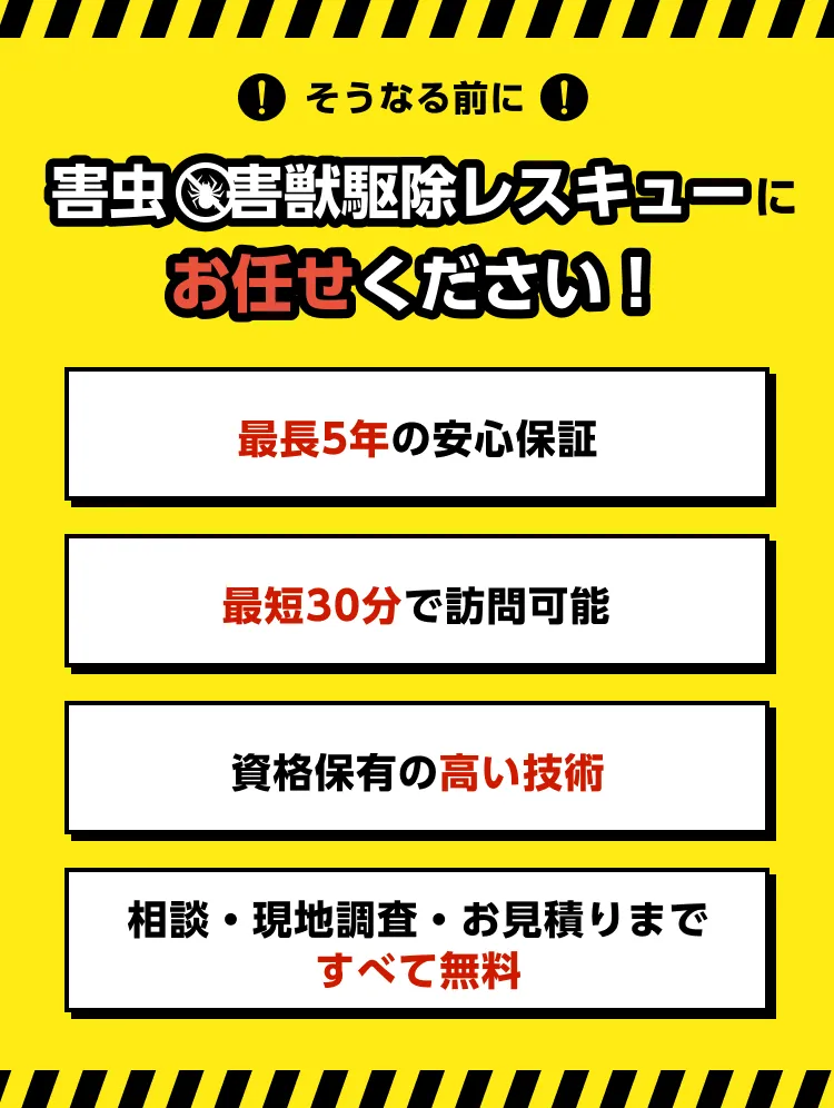 害虫・害獣駆除レスキューにお任せくださいの画像