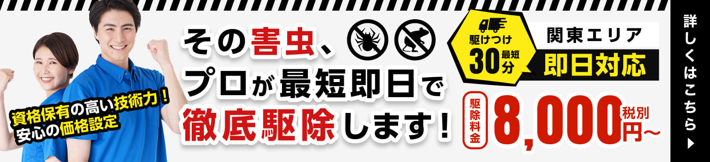 その害虫、プロが最短即日で徹底駆除します！